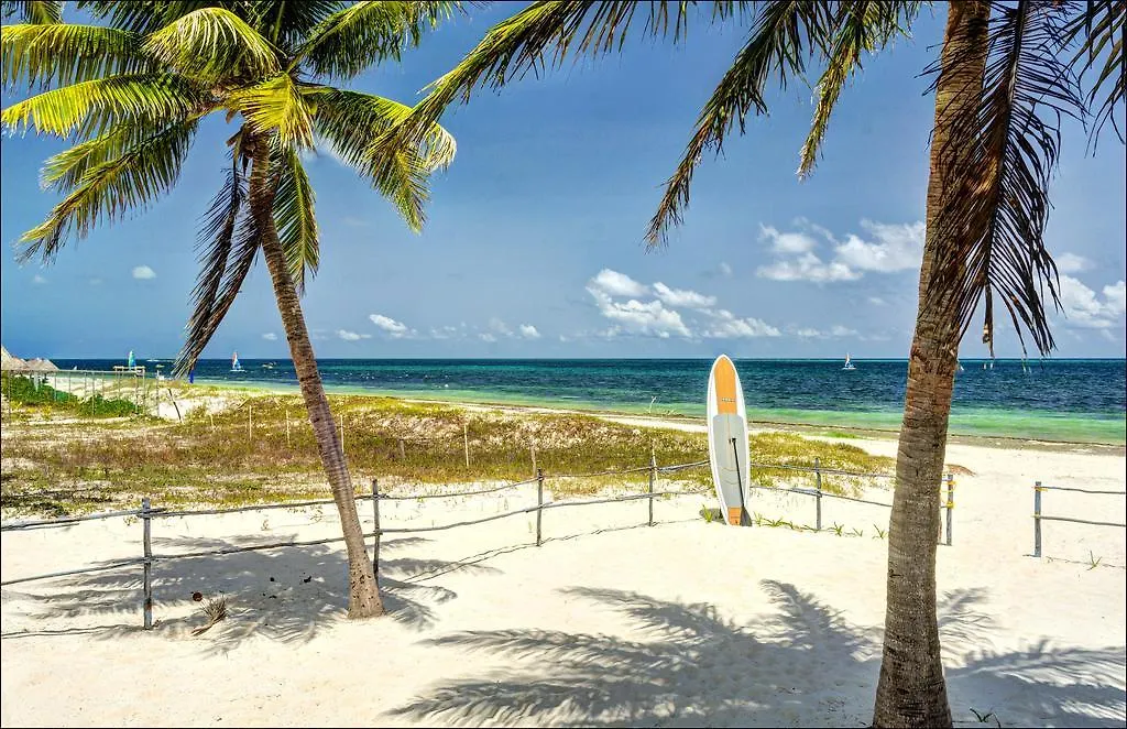 Beach Front House At プエルト・モレロス 別荘