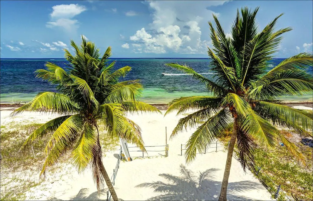 Beach Front House At プエルト・モレロス 別荘