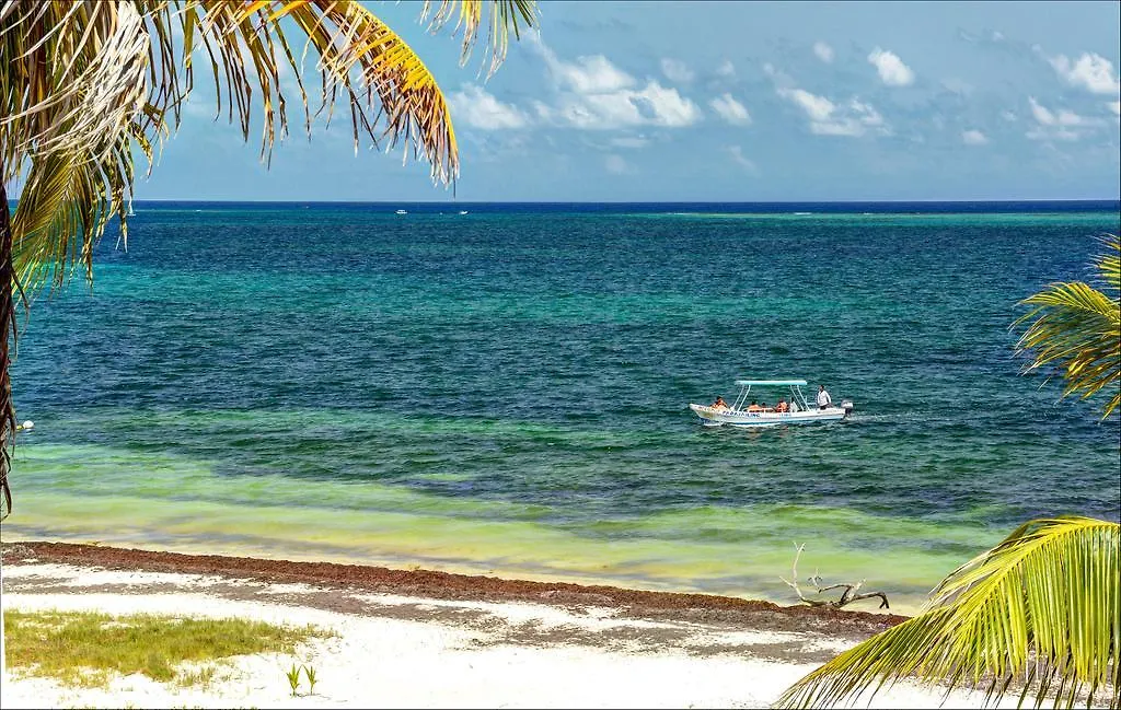 別荘 Beach Front House At プエルト・モレロス メキシコ