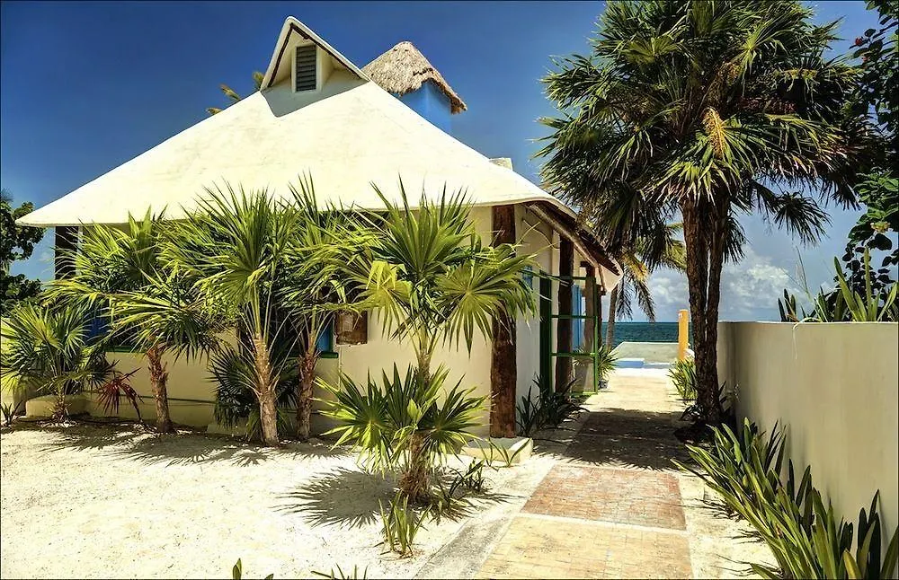 Beach Front House At プエルト・モレロス 別荘