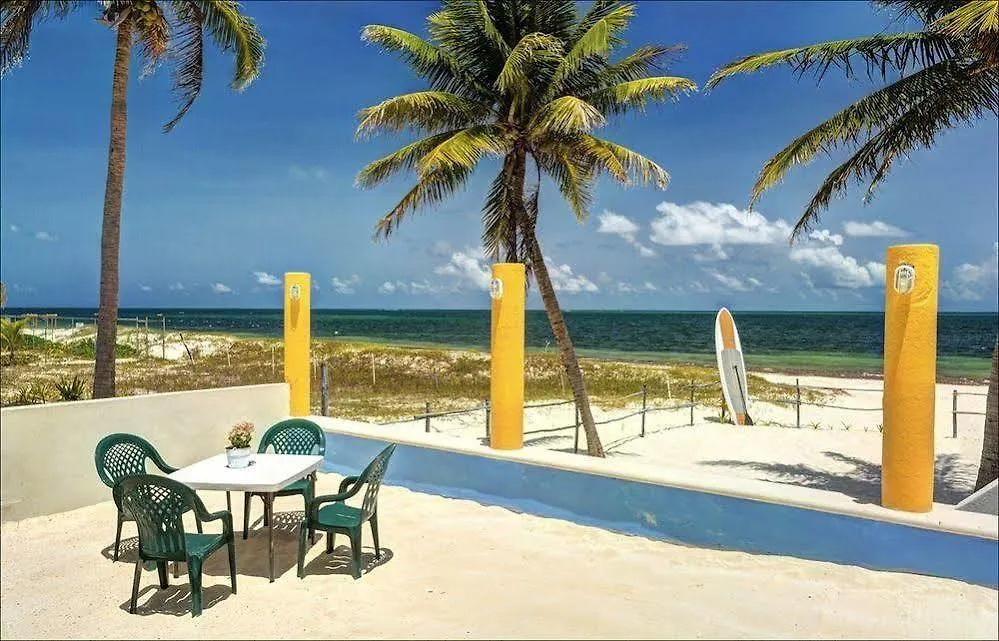 Beach Front House At プエルト・モレロス 別荘